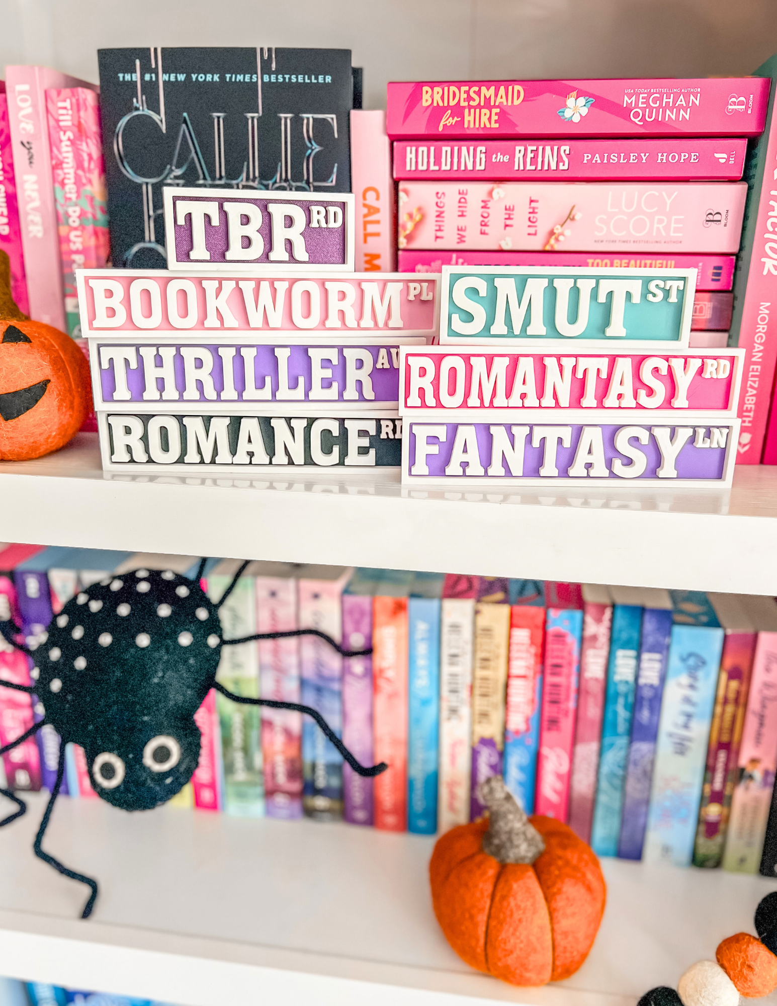 Road Signs | Bookshelf Decor for Readers